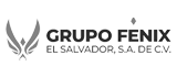 Grupo Fenix