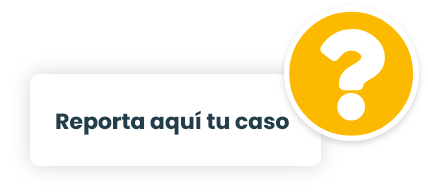 Reporte